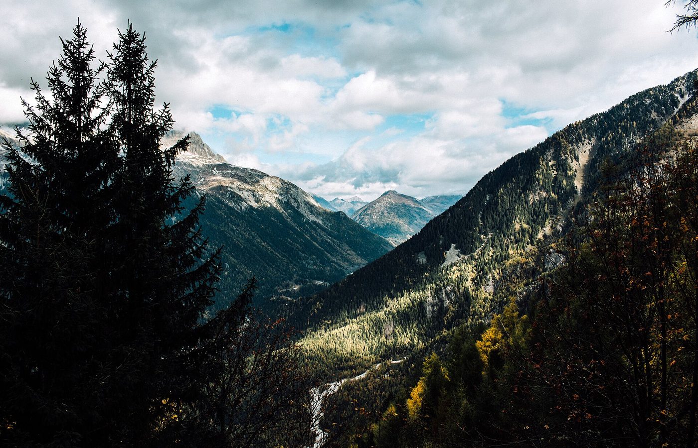 Vallée de Chamonix au pied du massif du Mont-Blanc