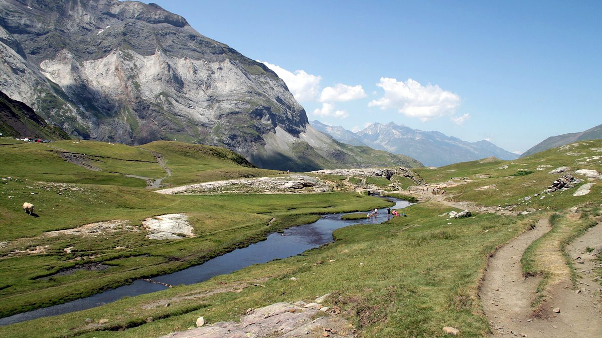 Environnement