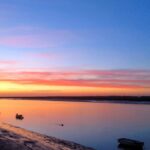 La baie de Somme : observer phoques et oiseaux sans les déranger
